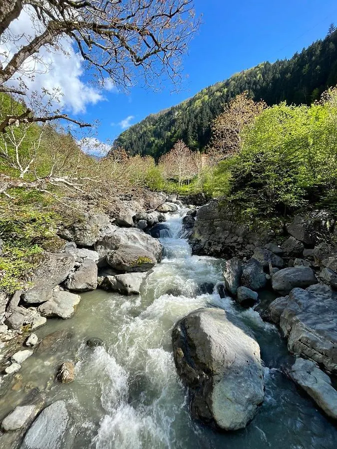 Pazarcik Mountain Hotel Trabzon